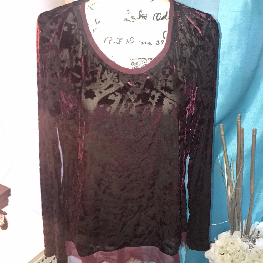 Velvet Blouse